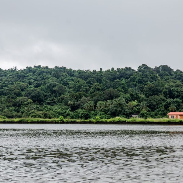 Chorao Island Trail: A Day Out with Soul Traveling