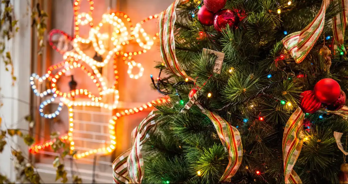 Offbeat Things To Do On Christmas In Goa