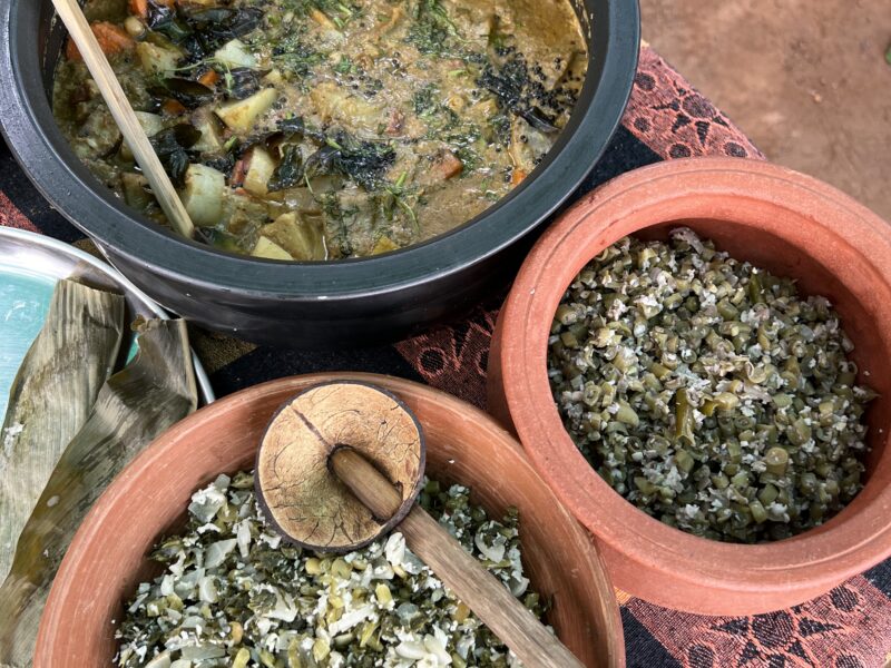 A Culinary Journey Through Goa – Authentic Dishes You Must Try