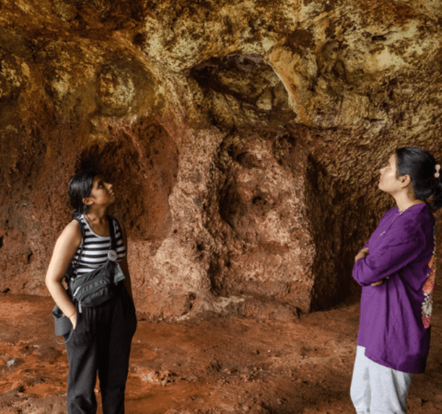 Things To Do In South Goa
