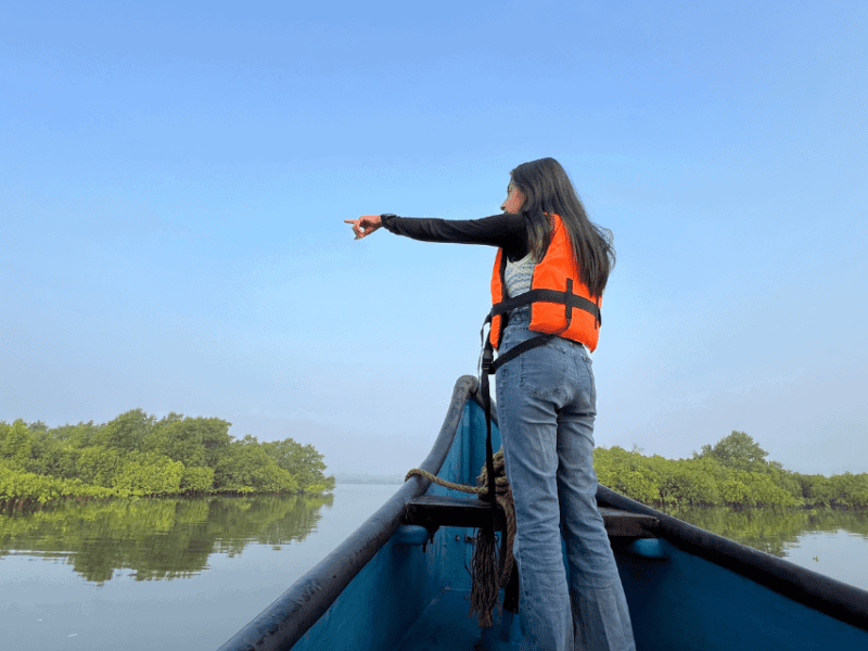 Exploring Backwater Ecosystems: A Birdwatcher’s Paradise