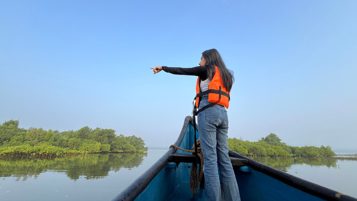 Exploring Backwater Ecosystems: A Birdwatcher’s Paradise