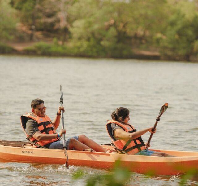 Things To Do In North Goa