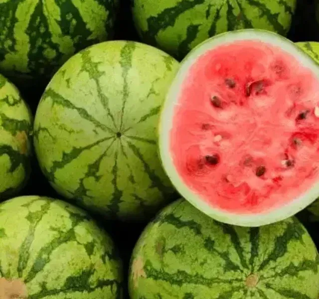Goa’s Summer And It’s Special Fruits