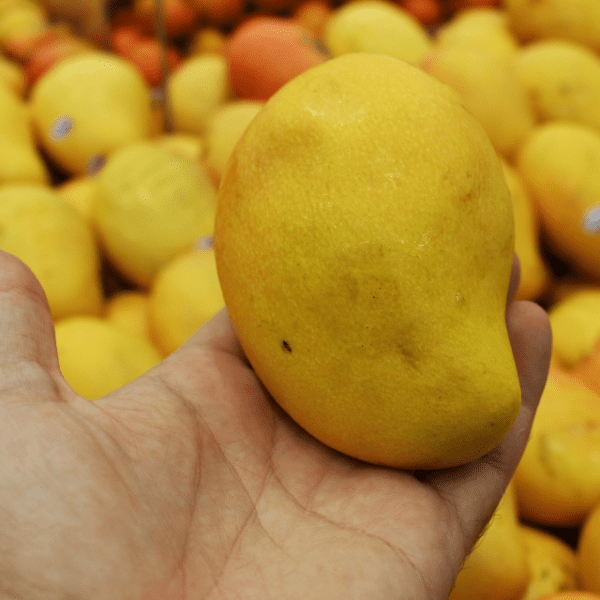 A Guide to Goan Mangoes: Types of Mangoes That Make Summer Special