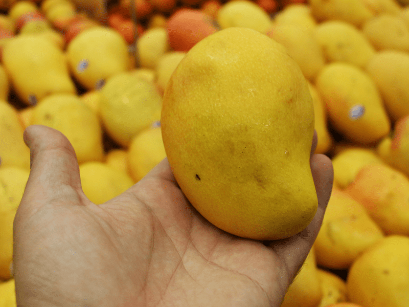 A Guide to Goan Mangoes: Types of Mangoes That Make Summer Special