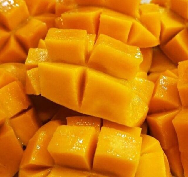Mankurad : Goa’s Favorite Mango