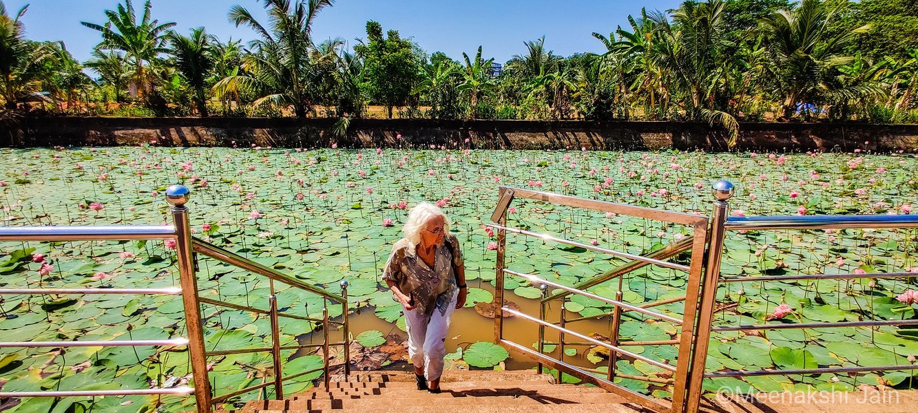 Rediscovering Candolim - Tour