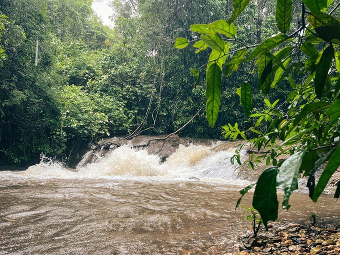 The Monsoon Experience and Jungle Trail at Tambdi Surla - Tour