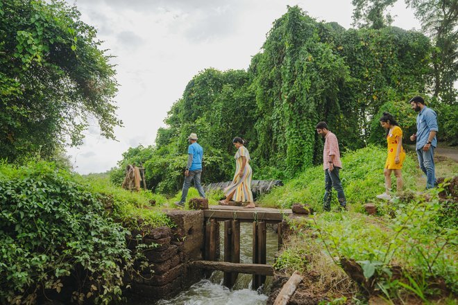 Offbeat Adventures in Goa - Collection