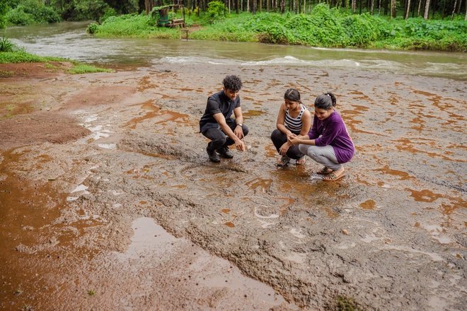 Pet-Friendly Activities in Goa - Collection